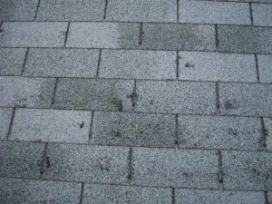 hail damaged shingles roof repair